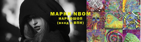 кокс Алексин