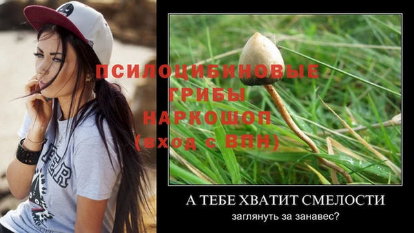 2c-b Алексеевка
