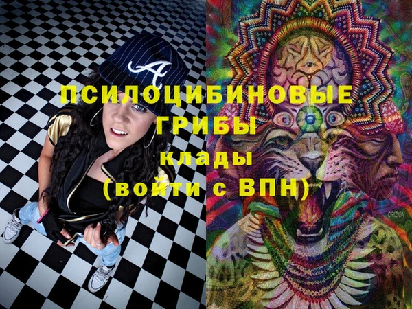 СК Алзамай