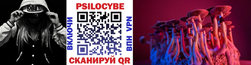 Галлюциногенные грибы Psilocybine cubensis  цены наркотик  blacksprut онион  Апшеронск 